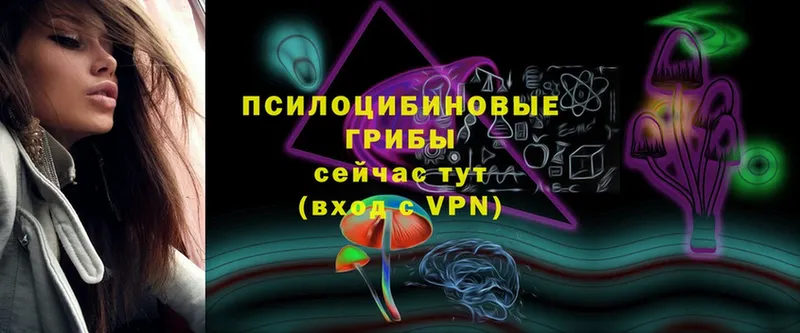 Галлюциногенные грибы Cubensis  Хабаровск 